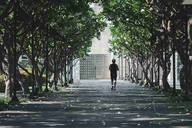节奏剖析麻豆app(正式服)实用干货